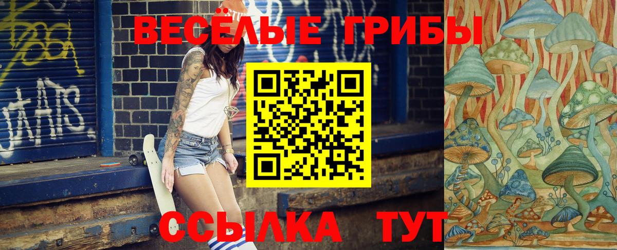 Галлюциногенные грибы Psilocybine cubensis Югорск